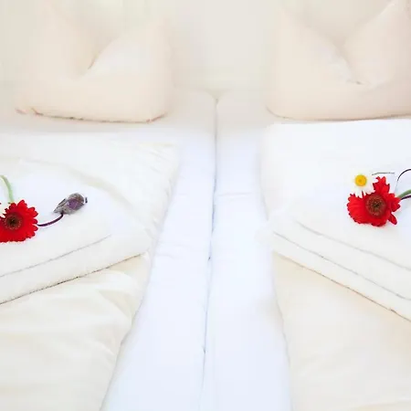 ゲストハウス Hotelpension Zum Gockl アラースハウゼン