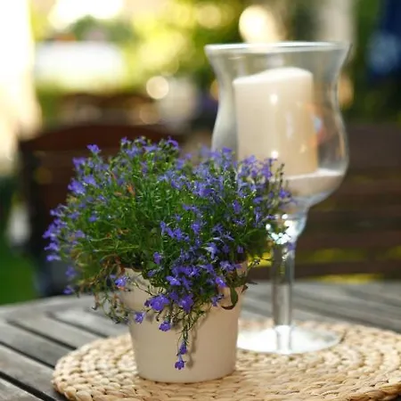 Hotelpension Zum Gockl