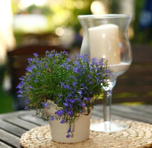 Hotelpension Zum Gockl